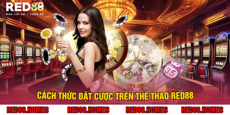 Cách Thức Đặt Cược Trên Thể Thao Red88