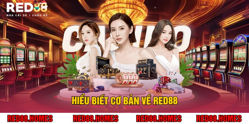 Hiểu biết cơ bản về Red88