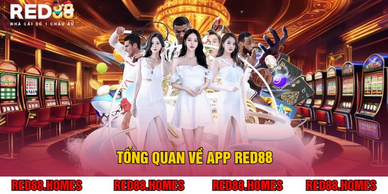 Tổng Quan về App Red88