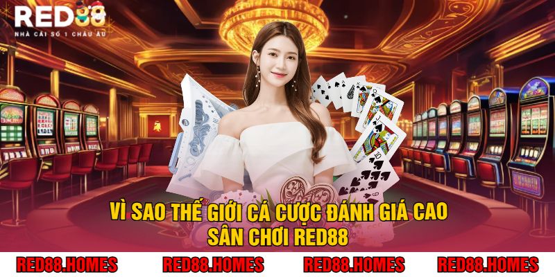 Vì Sao Thế Giới Cá Cược Đánh Giá Cao Sân Chơi Red88